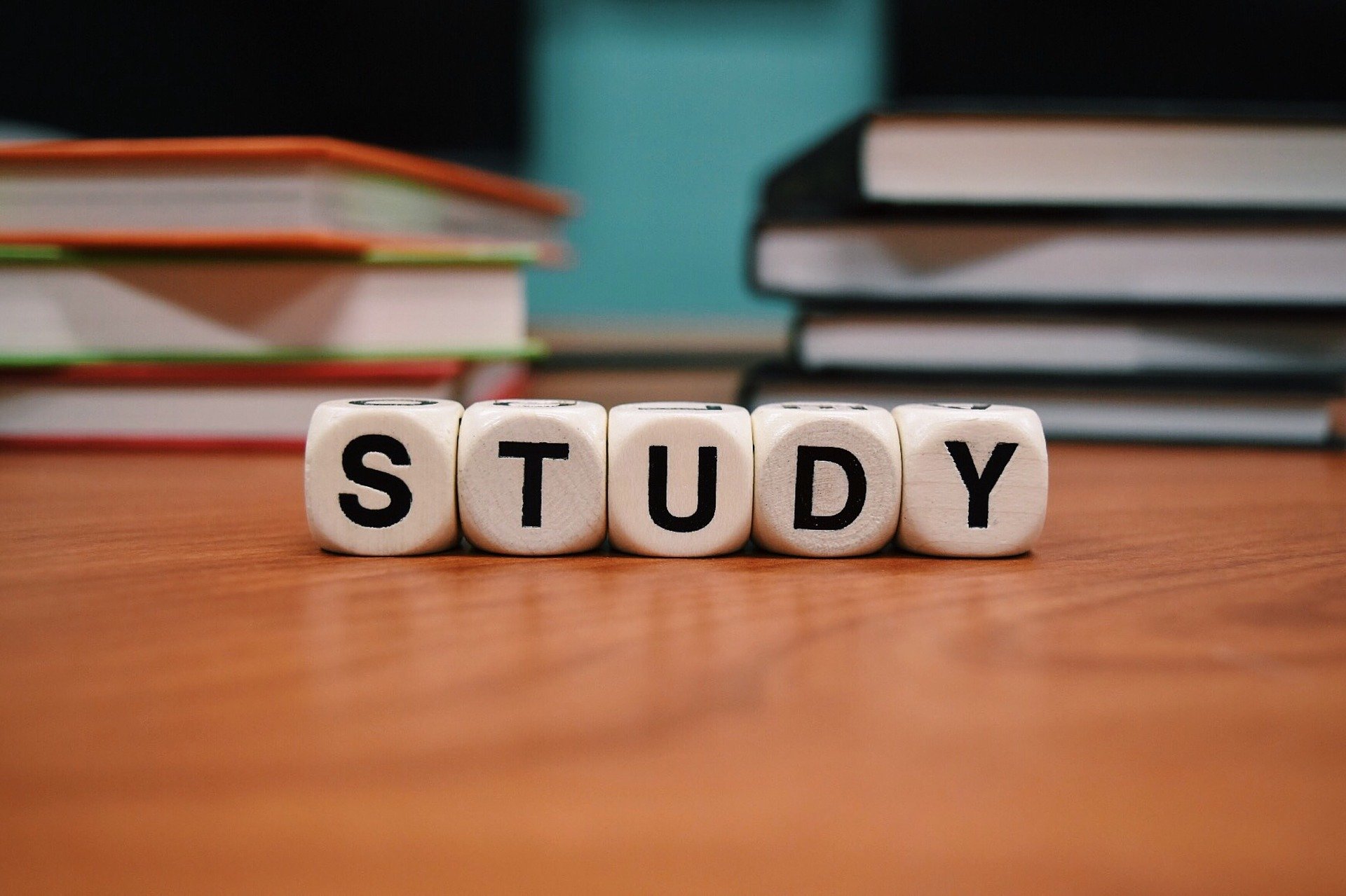 Hintergrundbild Studienorganisation mit dem Wort "STUDY" auf Würfeln geschrieben