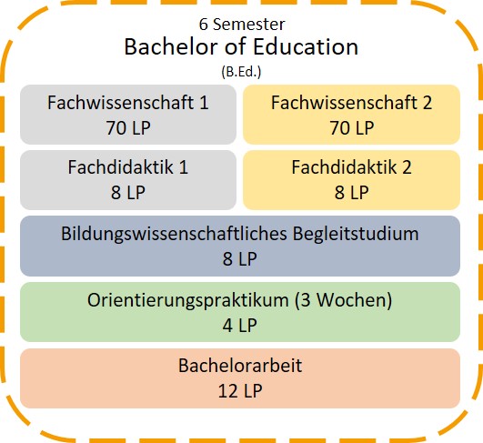 B.Ed. Studienaufbau.jpg