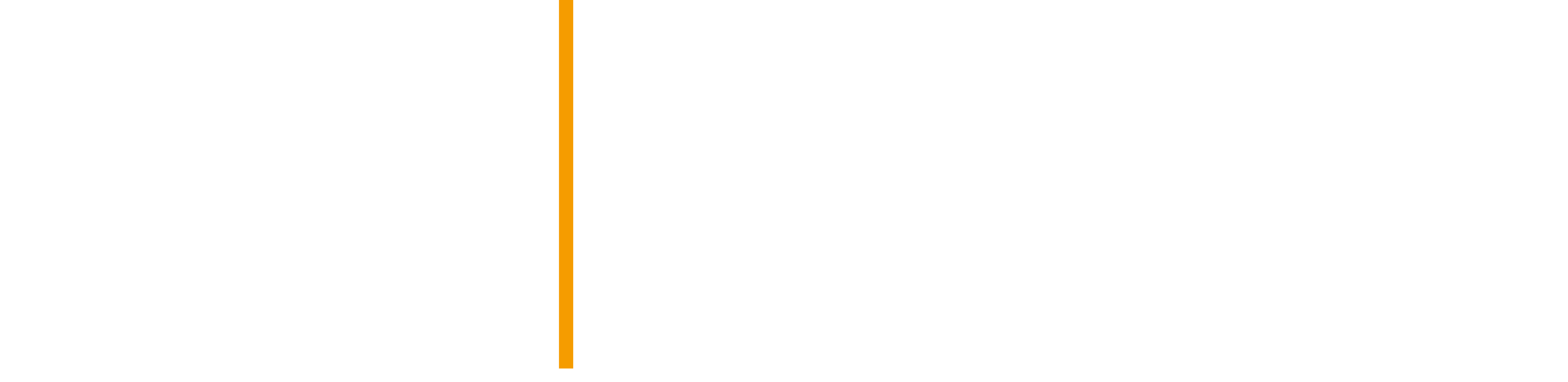ZLB Logo weiß